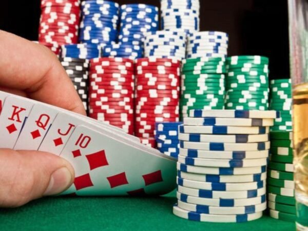 Wolf Winner Casino Senior Friendly UI Accessibility UX Review 2026