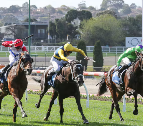 Ultimate Racing Hub NZ